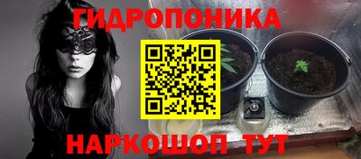 каннабис Кимры
