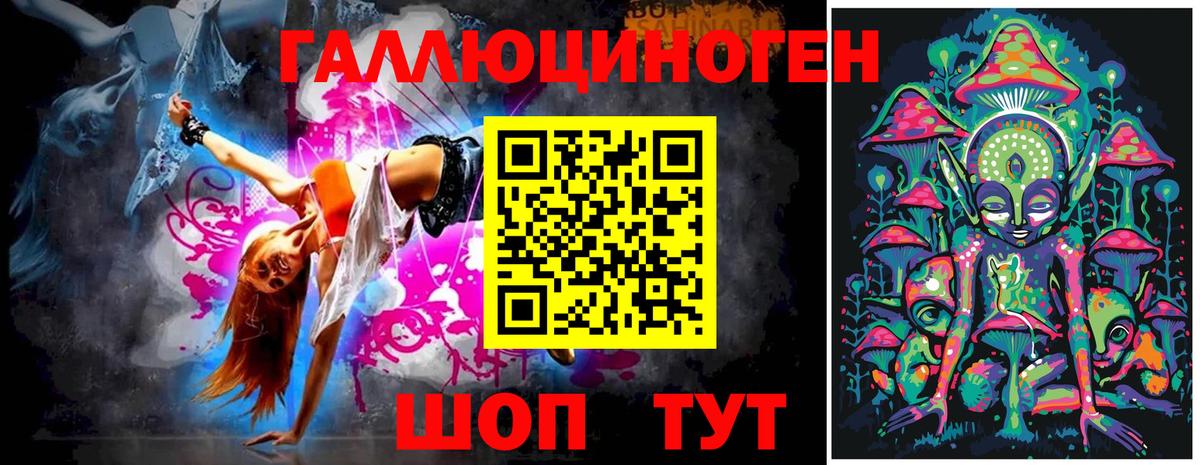 Галлюциногенные грибы Psilocybine cubensis Пермь