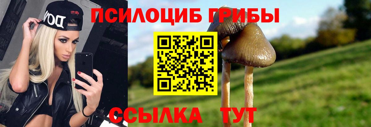 купить  цена  Галлюциногенные грибы Psilocybe  Вход с VPN  Галлюциногенные грибы Cubensis  Пермь 